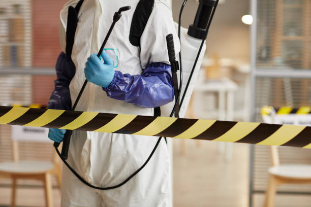 Professional Hoarding Cleanup technician working in Coupland, TX